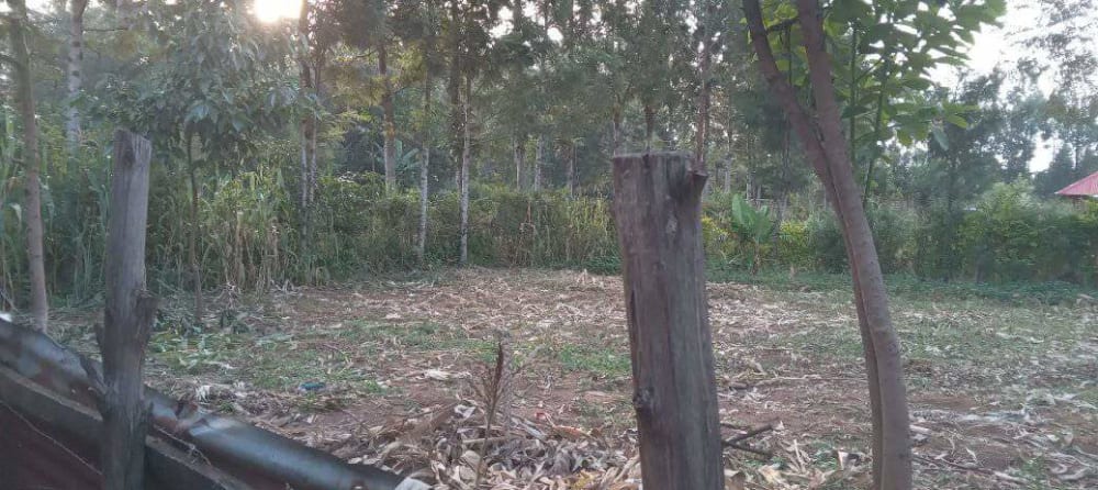 Land for sale in Mabanga 