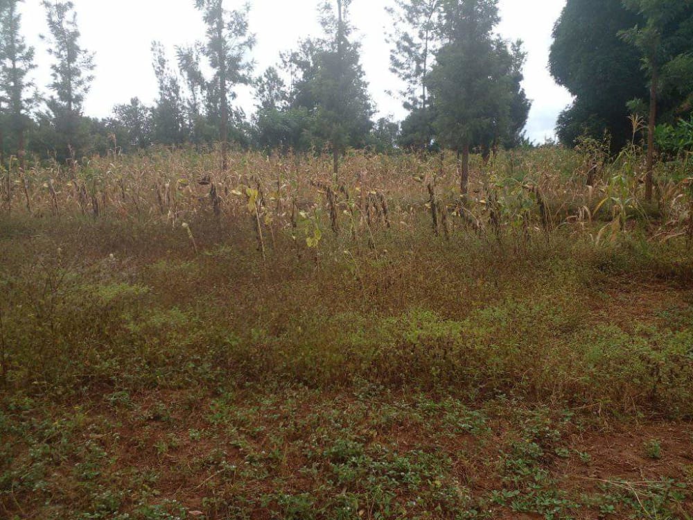 Land for sale in Embu