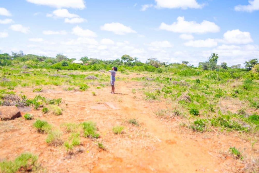 Land for sale in Kithimani 