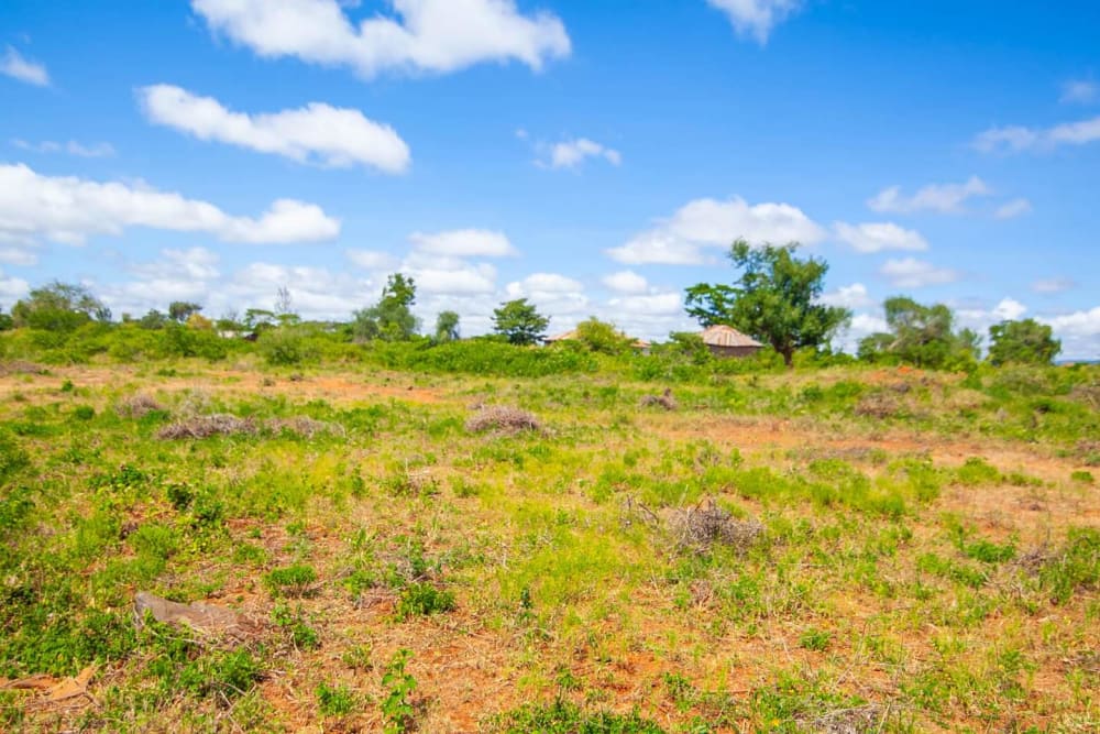 Land for sale in Kithimani 