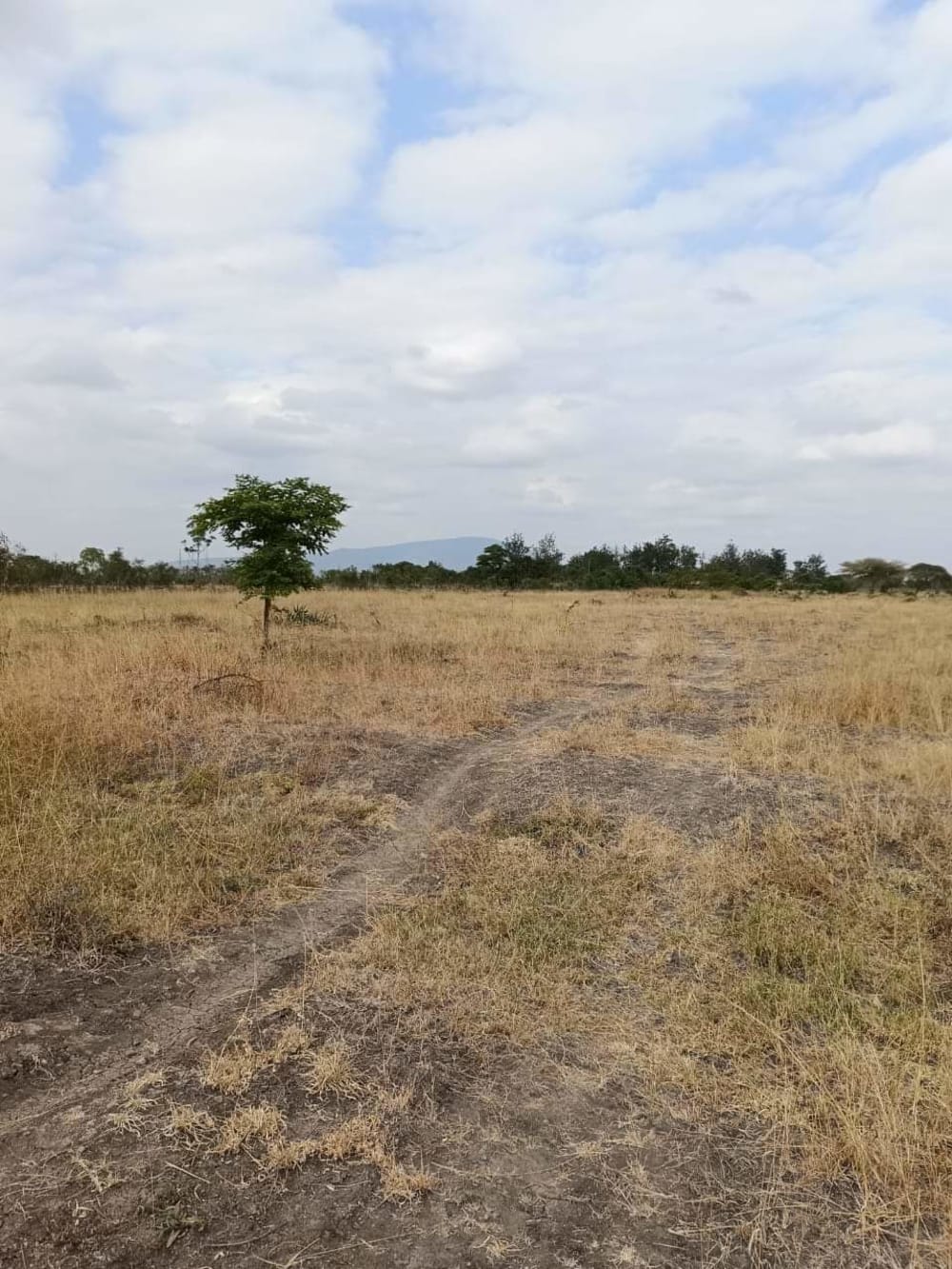 Land for sale in Juja 