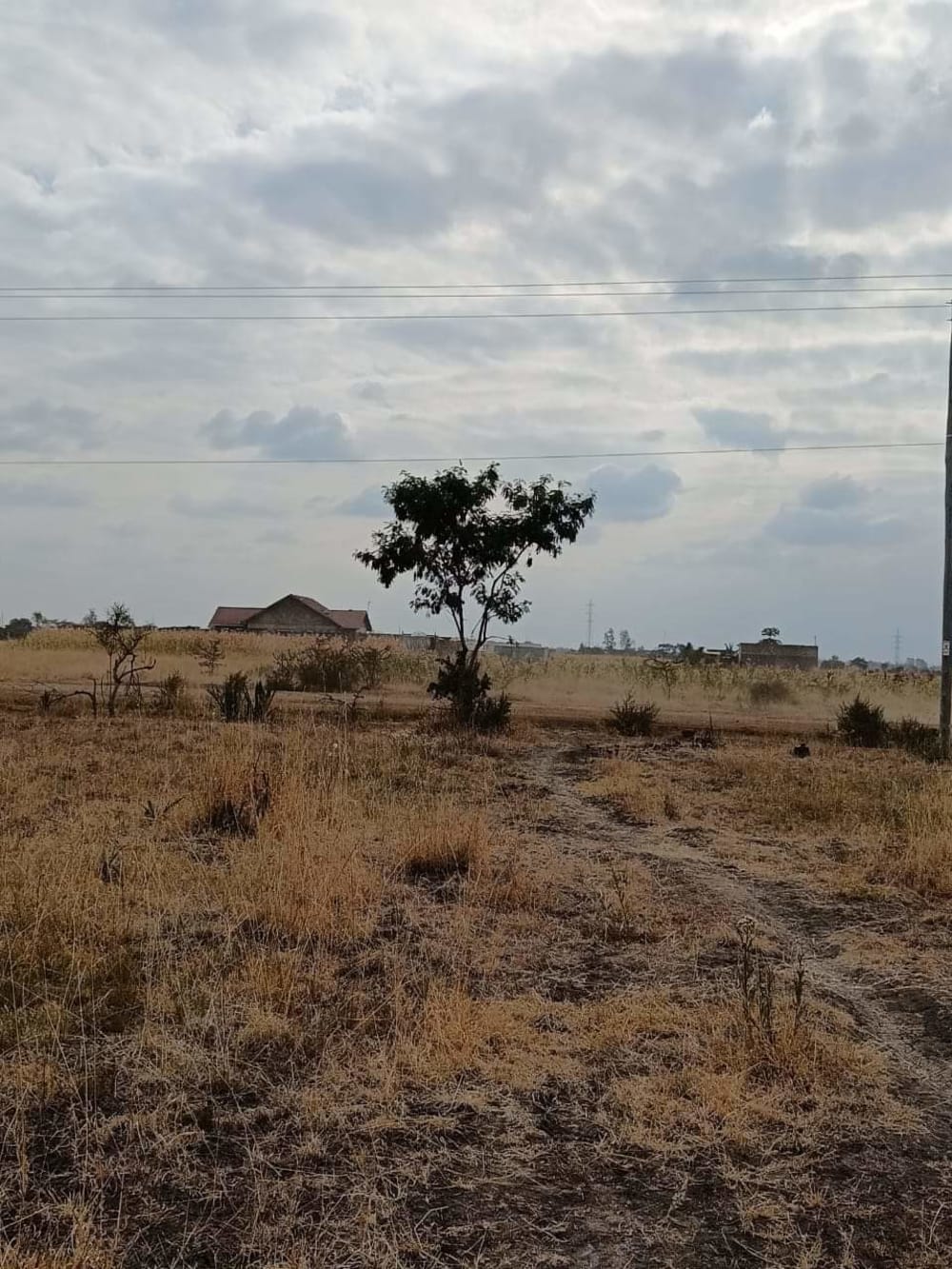 Land for sale in Juja 