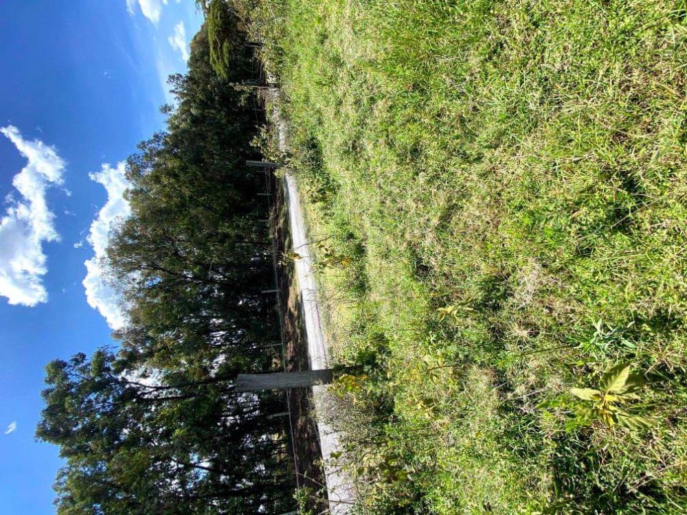 Land for sale in Njoro
