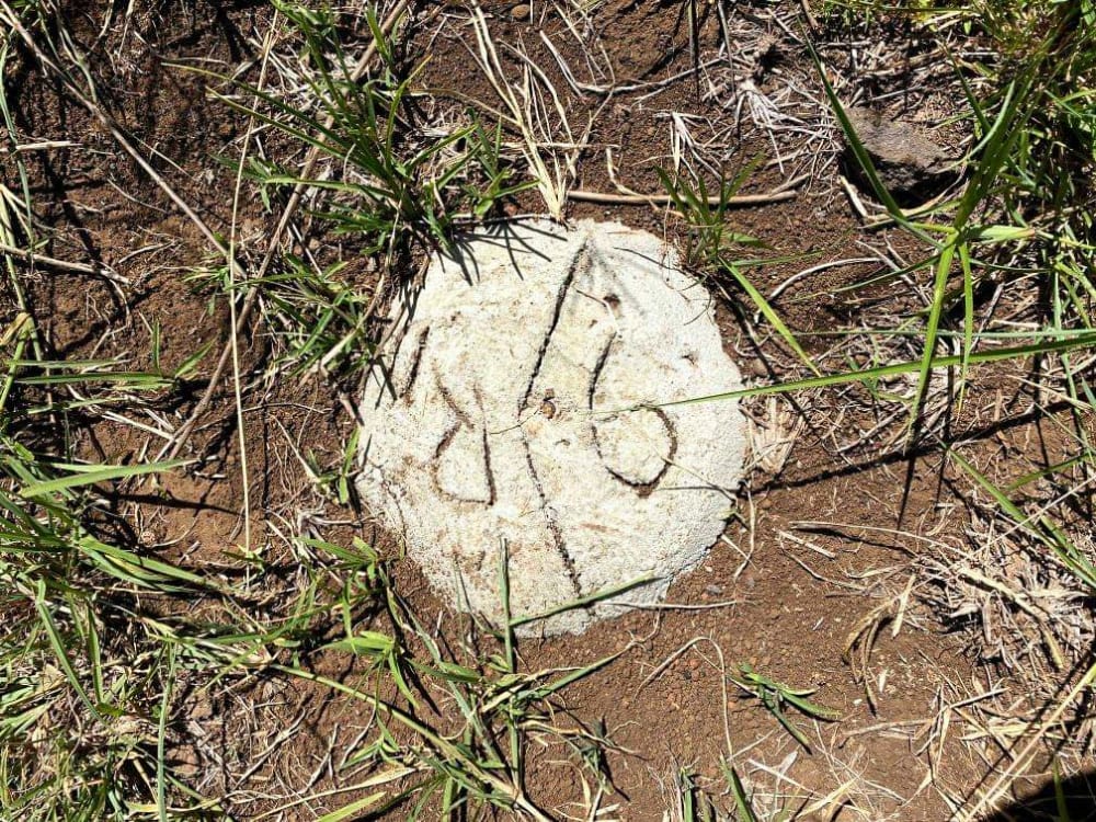 Land for sale in Njoro