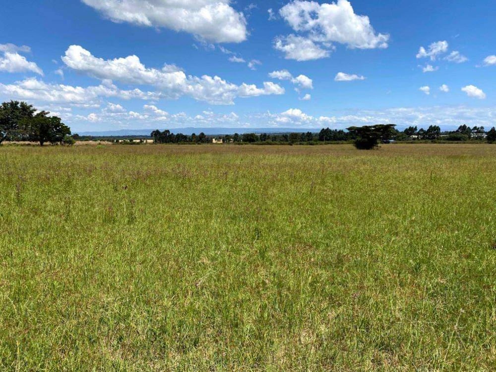 Land for sale in Njoro
