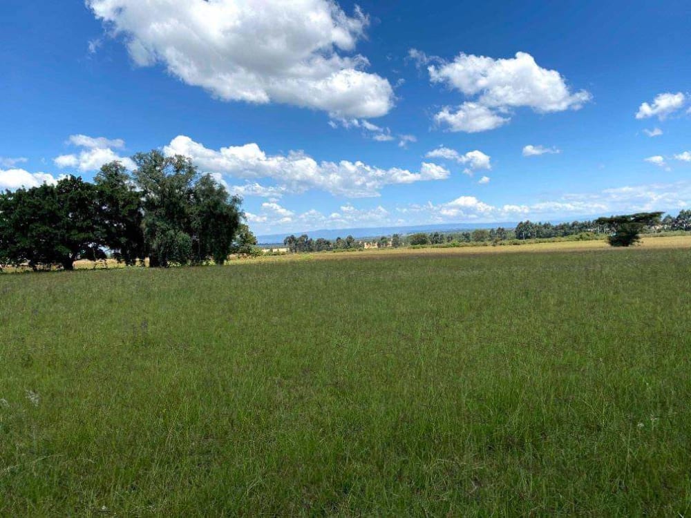 Land for sale in Njoro