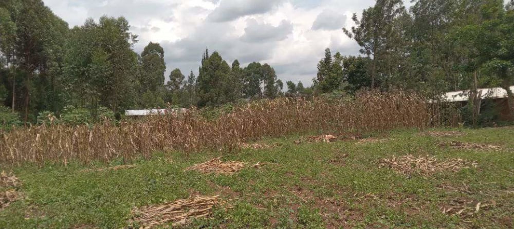 Land for sale in Bungoma
