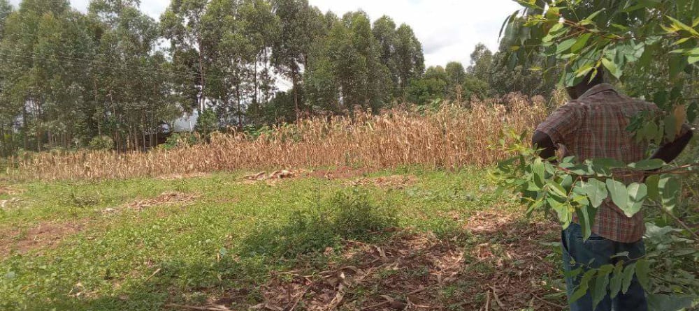 Land for sale in Bungoma