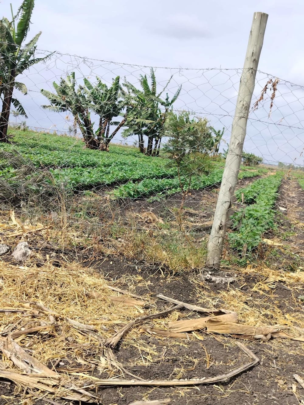 Land for sale in Isinya 