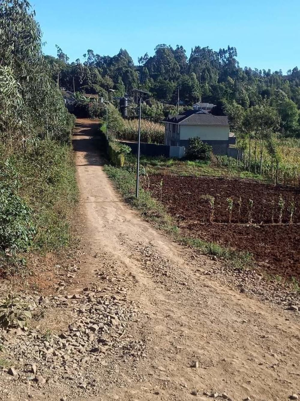 Land for sale in Nduma