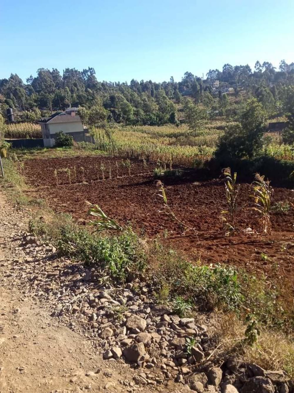 Land for sale in Nduma