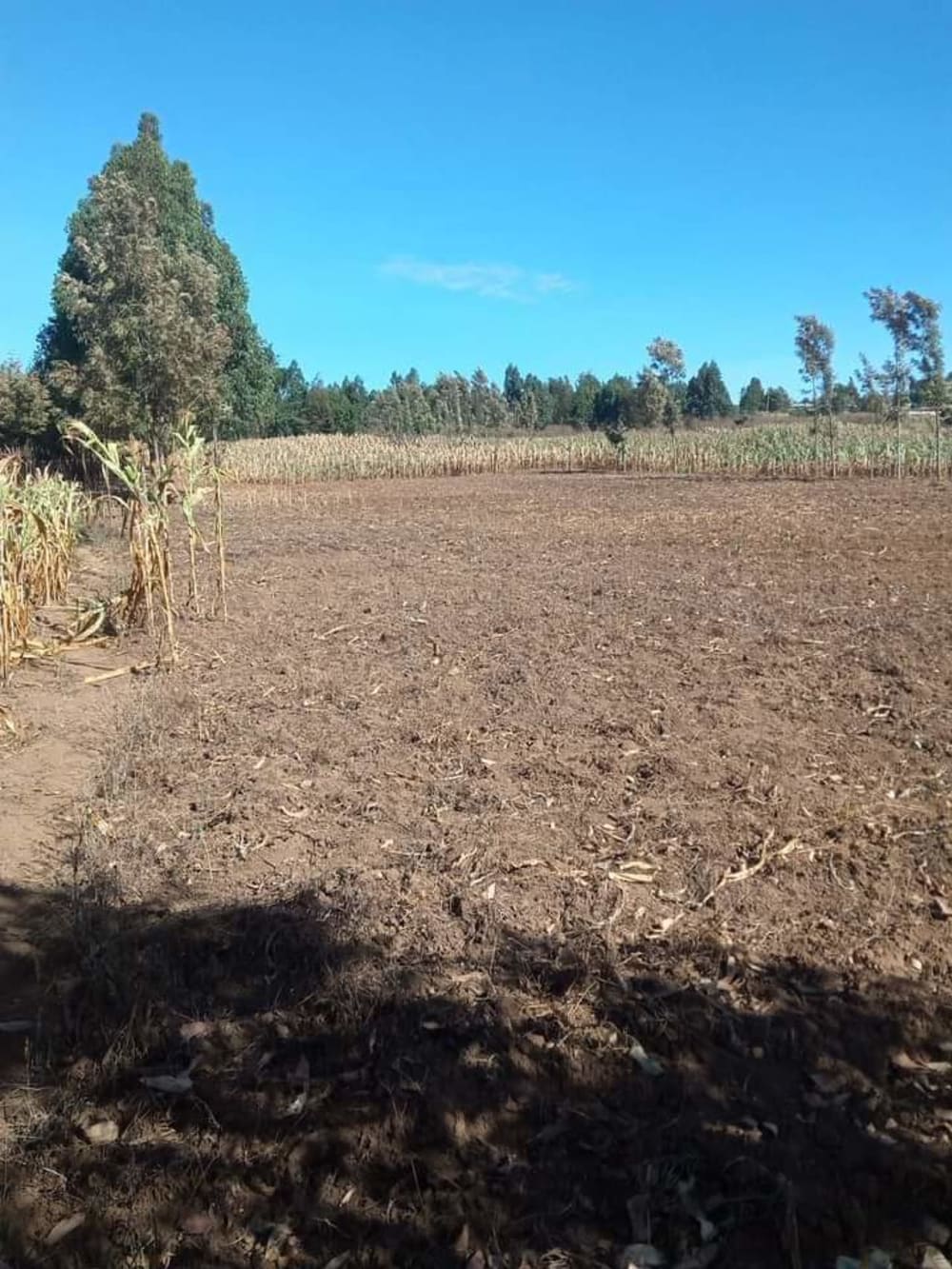 Land for sale in Nduma
