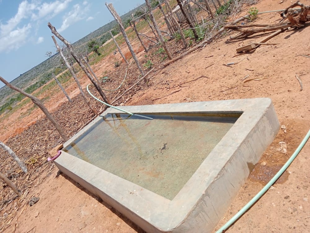 Land for sale in Msumarini