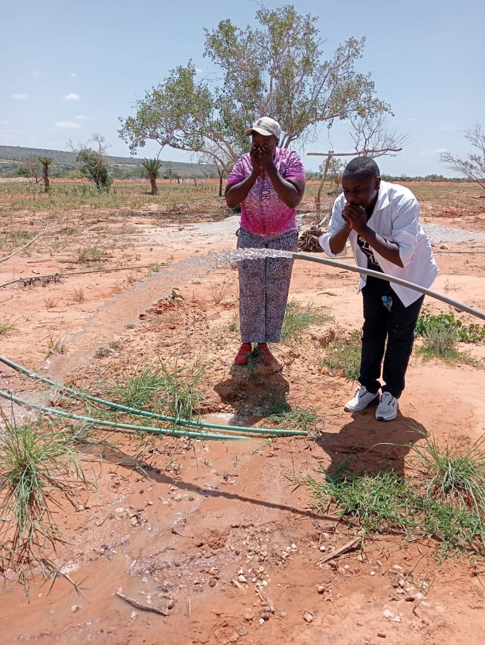 Land for sale in Msumarini