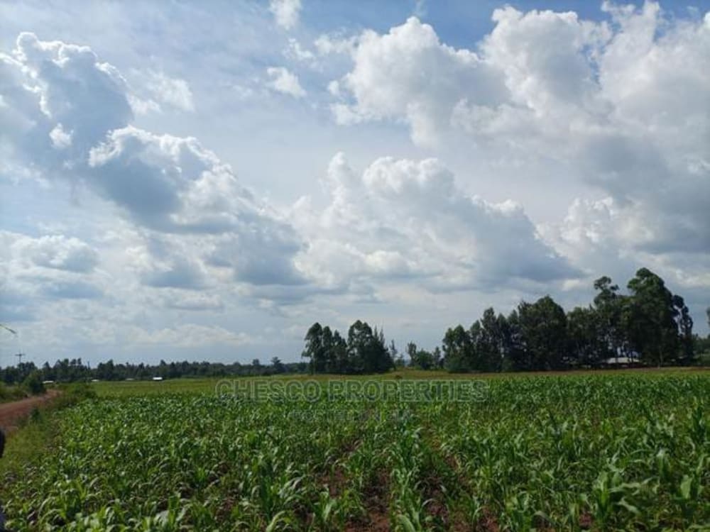 Land for sale in Bukembe, Bungoma 