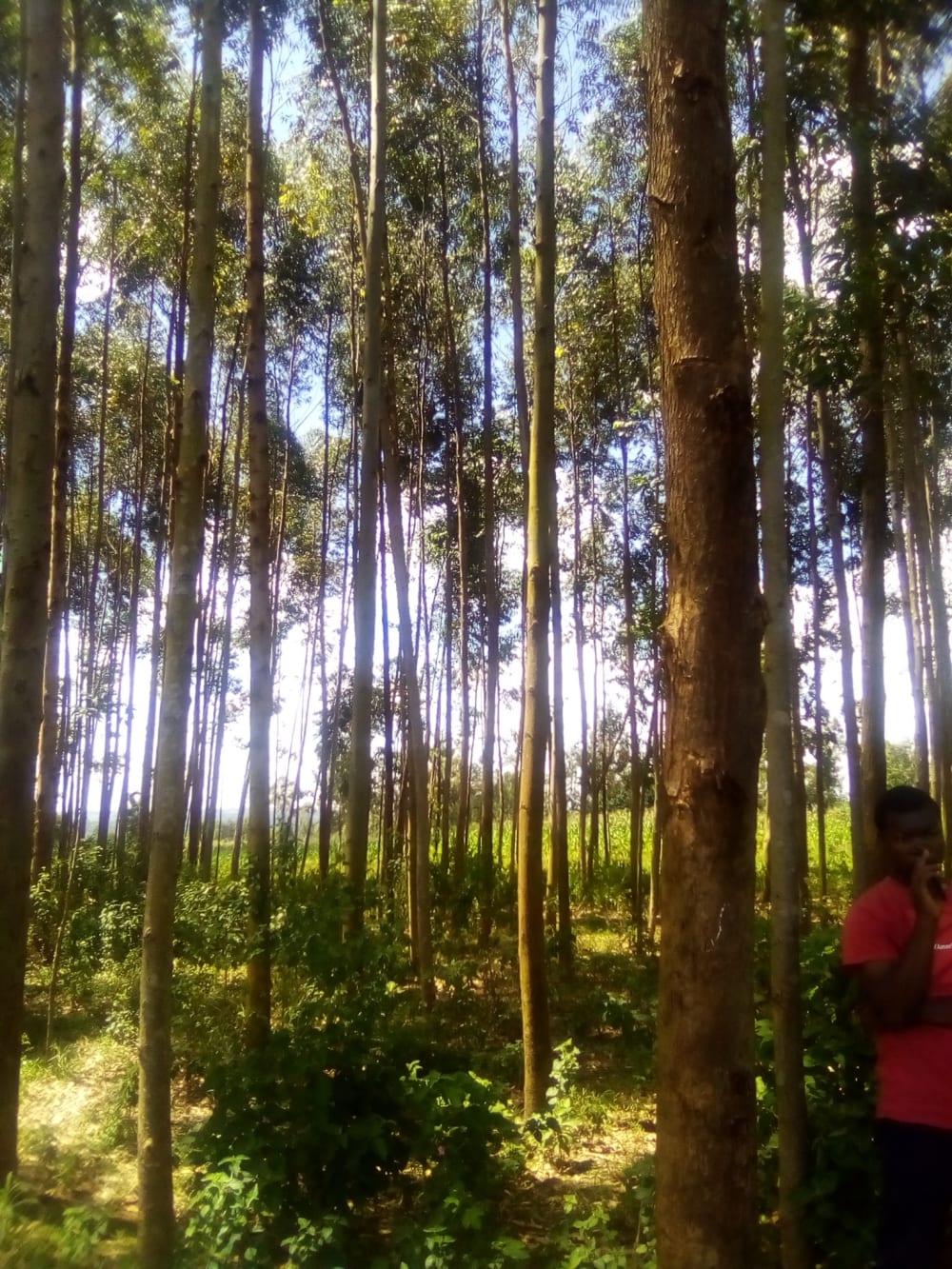 Land for sale in Bukembe, Bungoma 