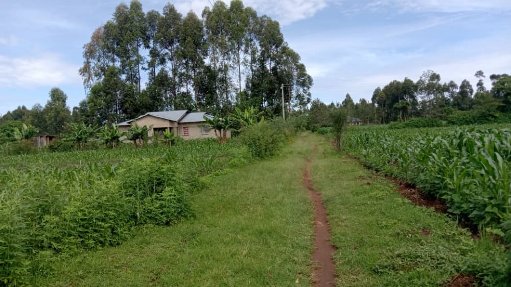 Land for sale in Bukembe, Bungoma 