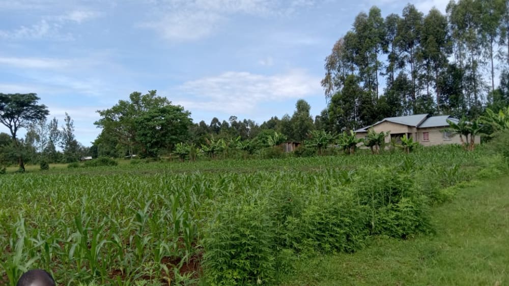 Land for sale in Bukembe, Bungoma 