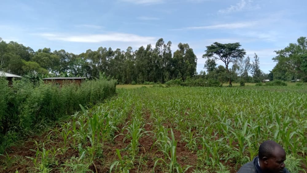 Land for sale in Bukembe, Bungoma 