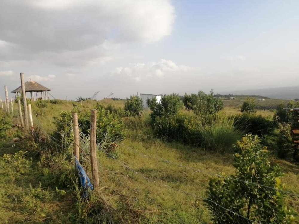 Land for sale in Naivasha 