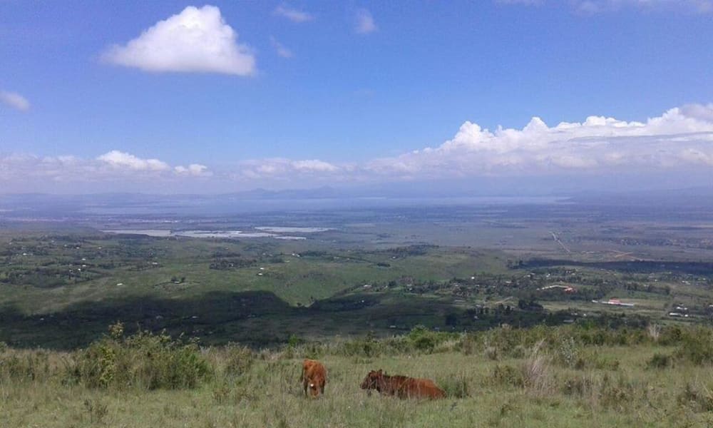 Land for sale in Naivasha 