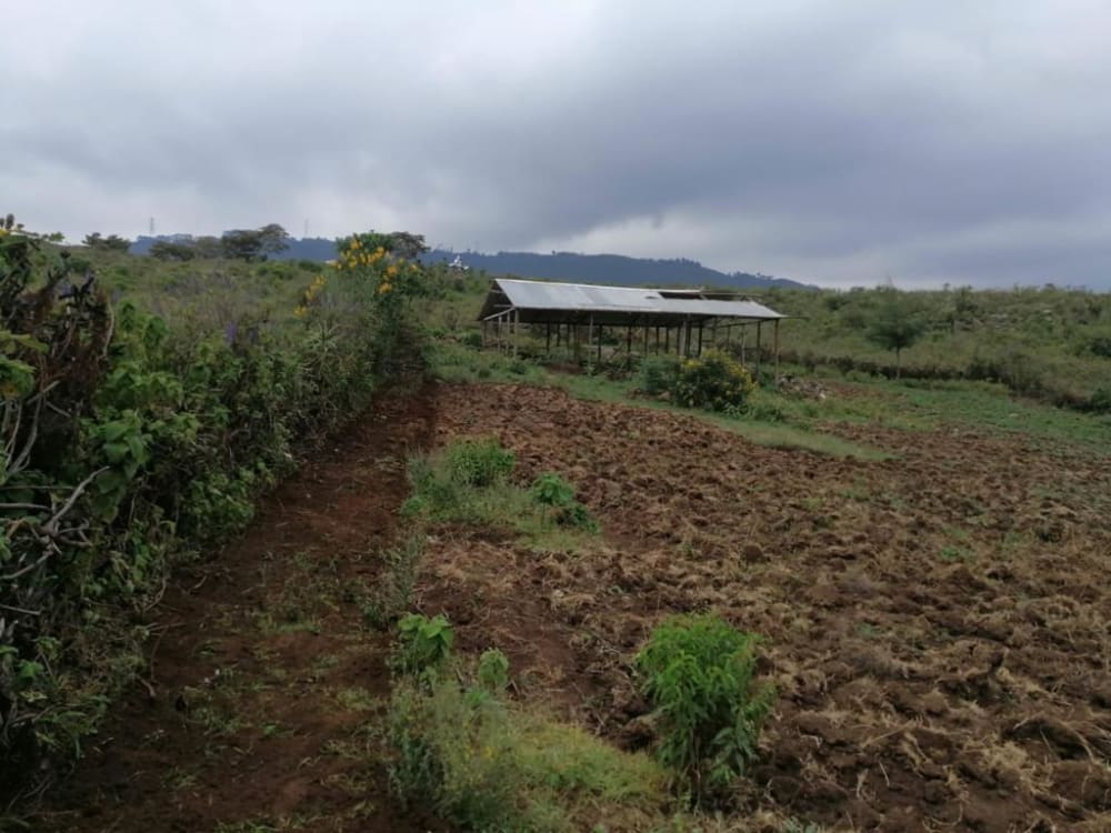 Land for sale in Naivasha 