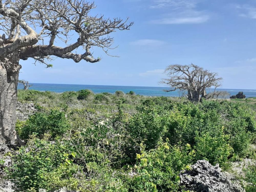 Land for sale in Malindi