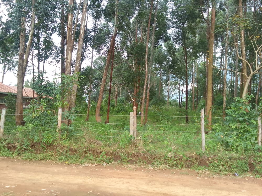 Land for sale in Bungoma