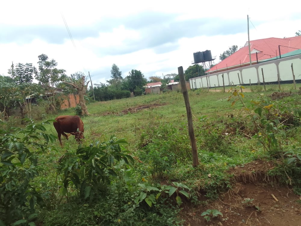 Land for sale in Bungoma