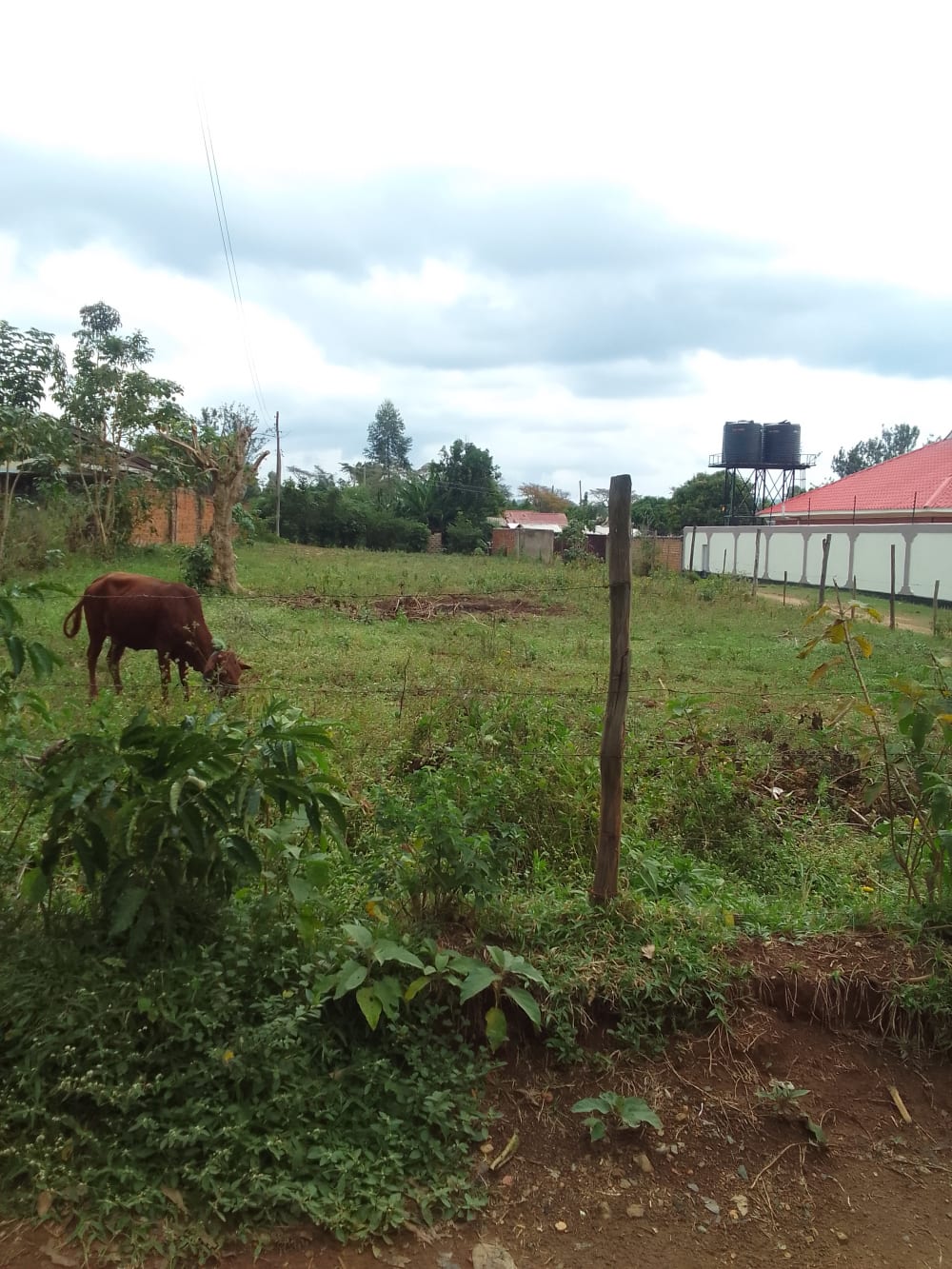 Land for sale in Bungoma