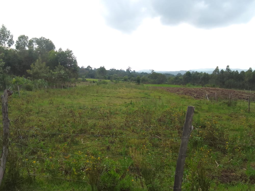 Land for sale in Bungoma