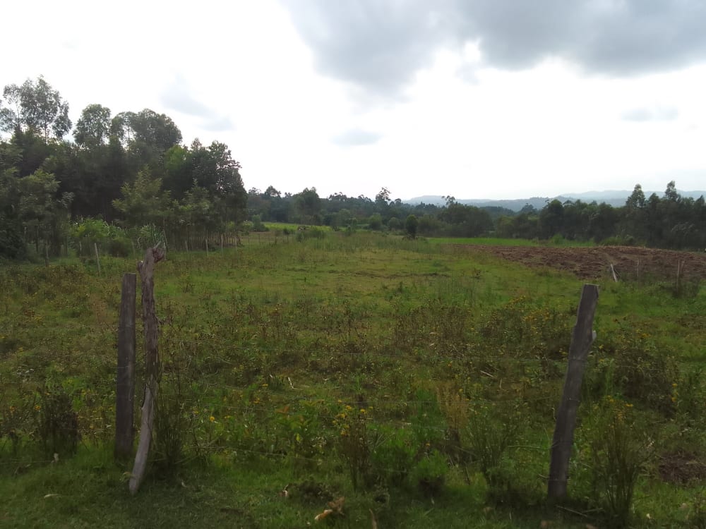 Land for sale in Bungoma