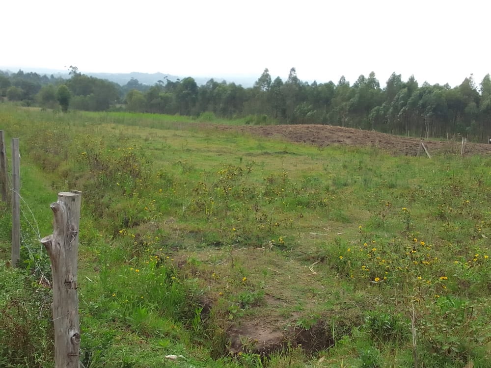 Land for sale in Bungoma