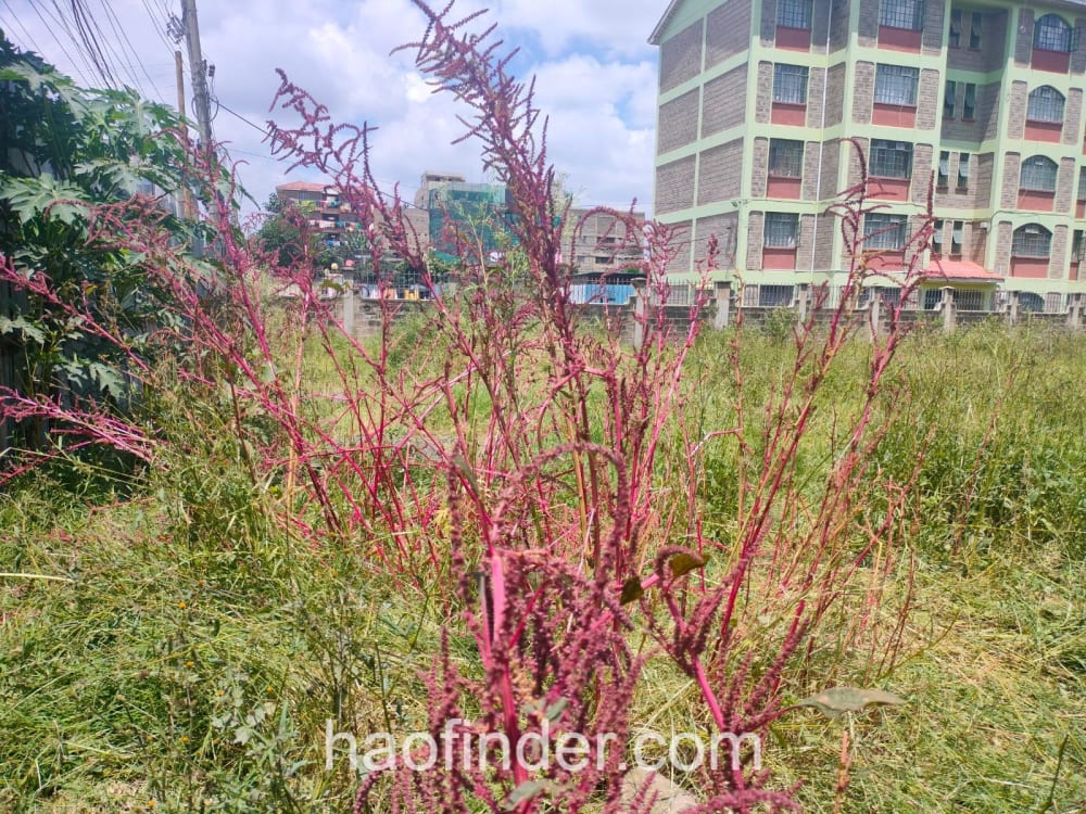 Land for sale in Nairobi