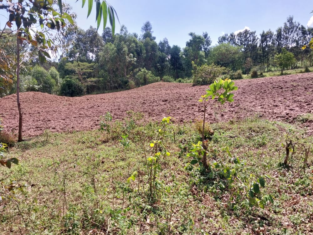 Land for sale in Bungoma