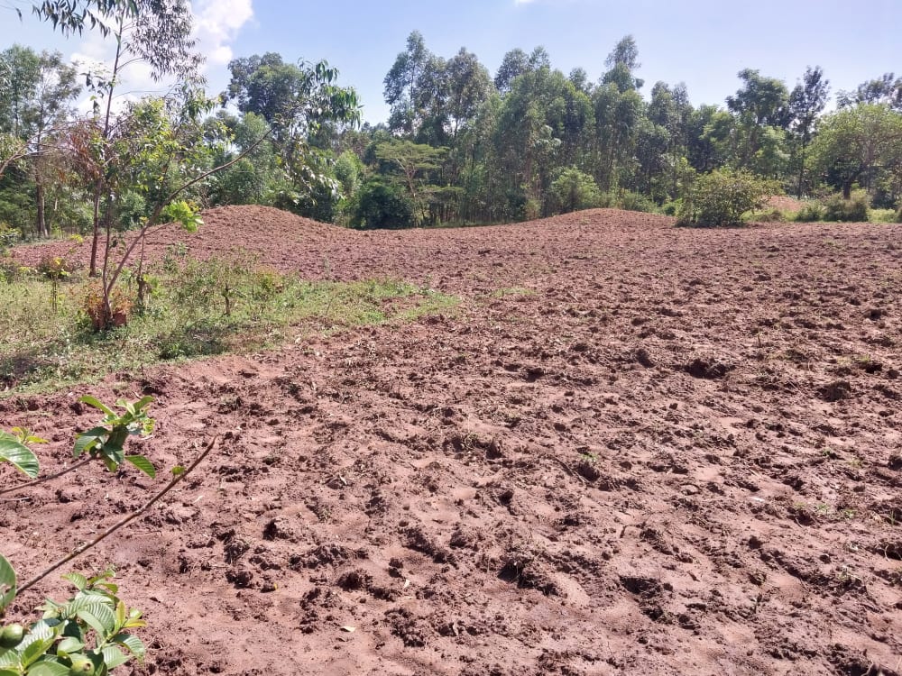 Land for sale in Bungoma