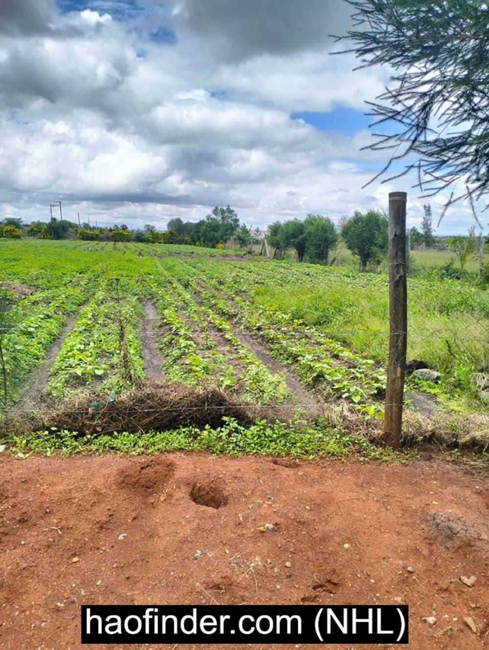 Land for sale in Kajiado - Kisaju