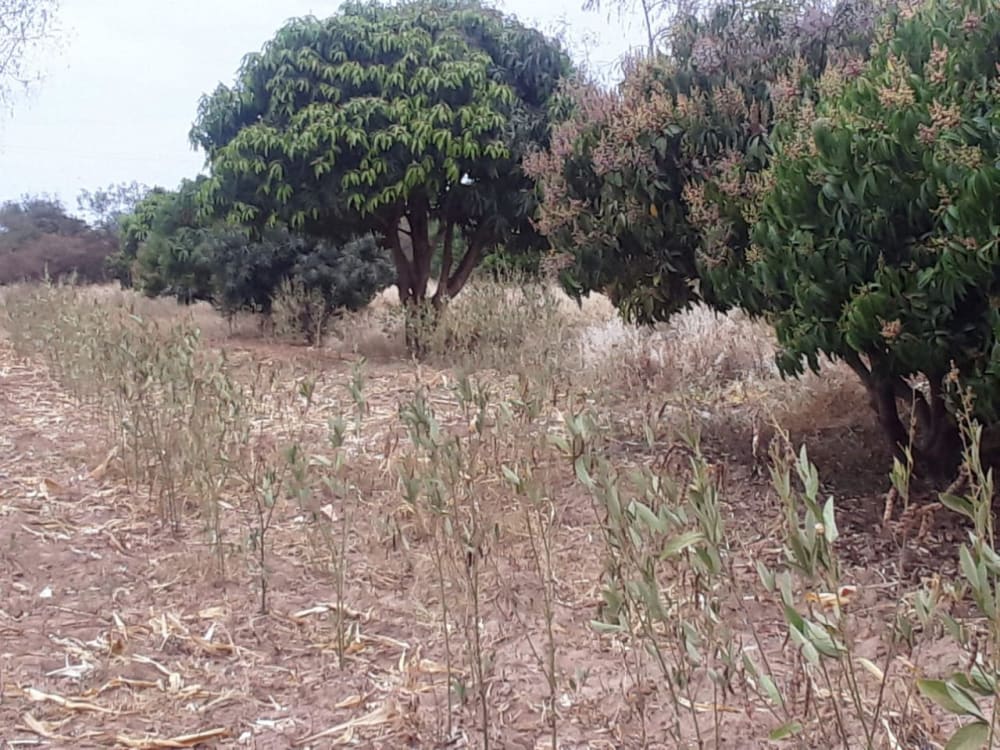 Land for sale in Kyumvi, Machakos County