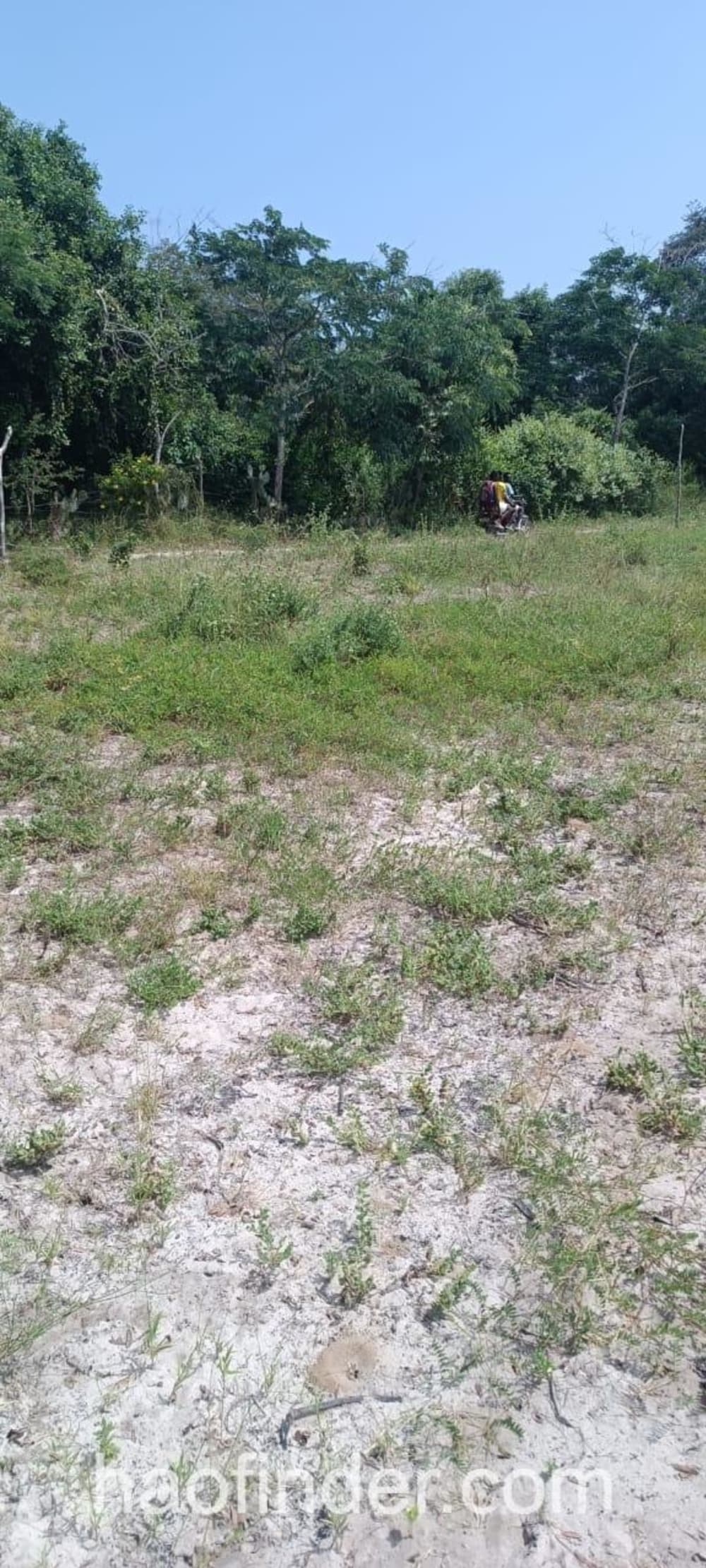 Land for sale in Malindi