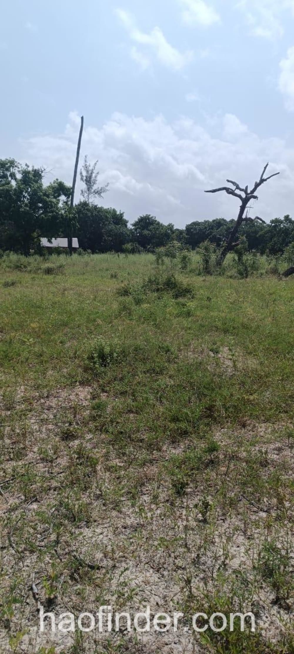 Land for sale in Malindi