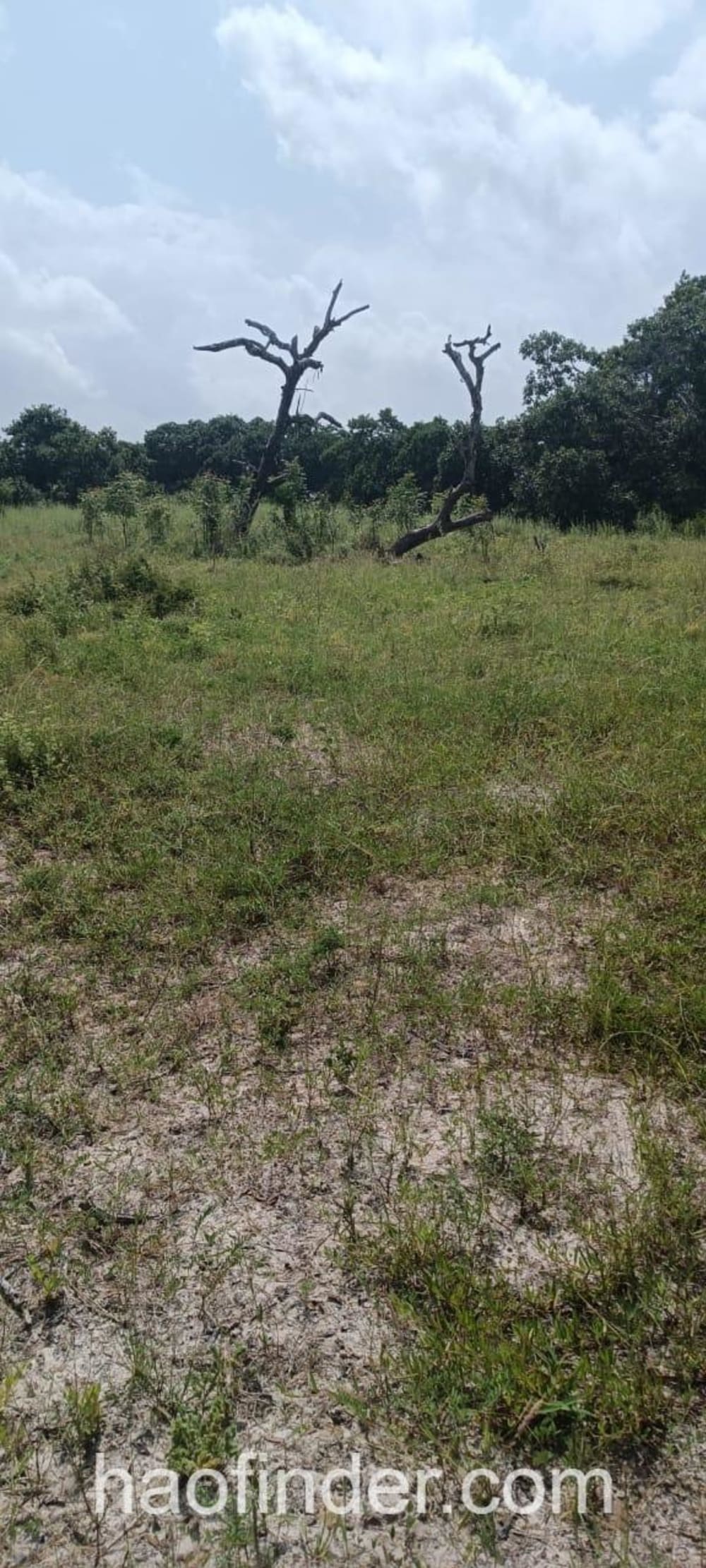 Land for sale in Malindi