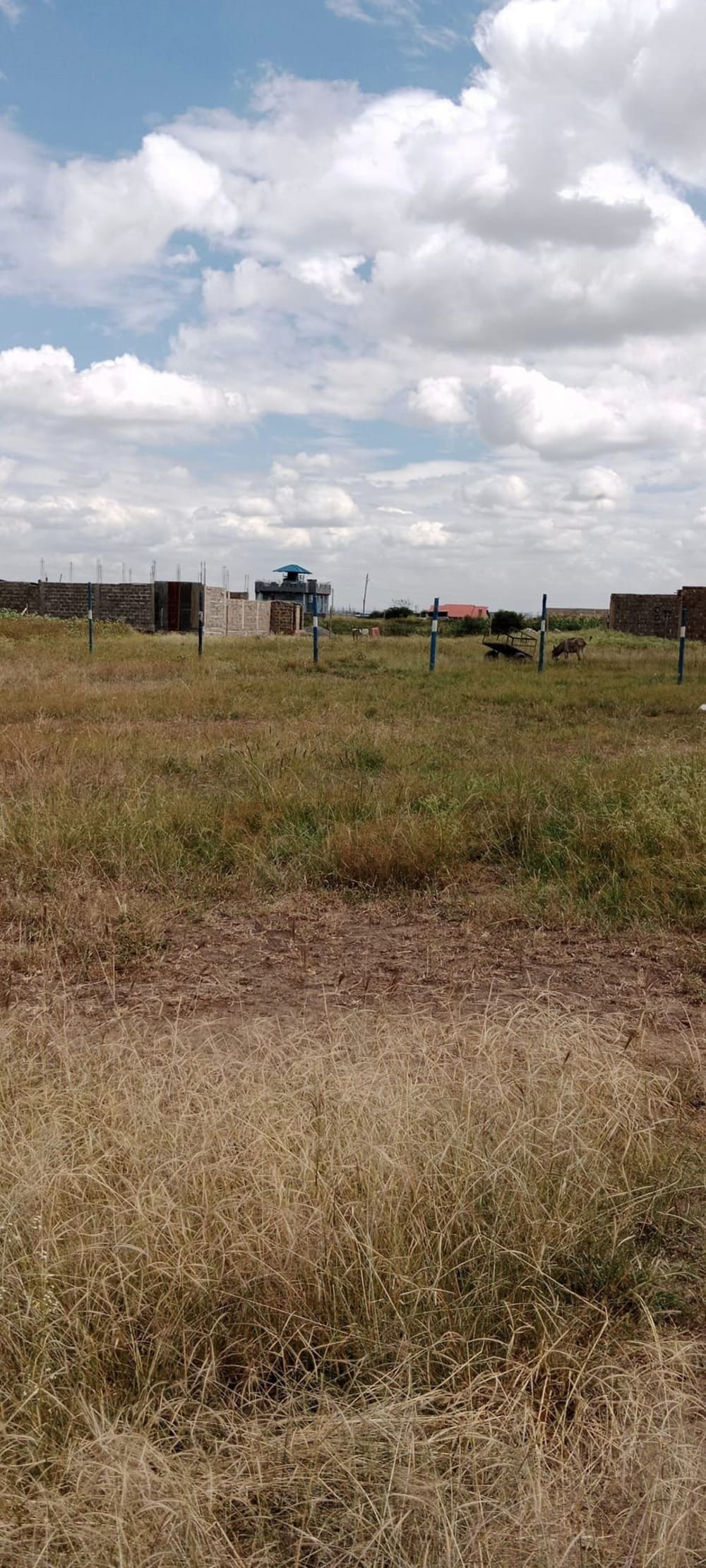 Land for sale in Ruiru