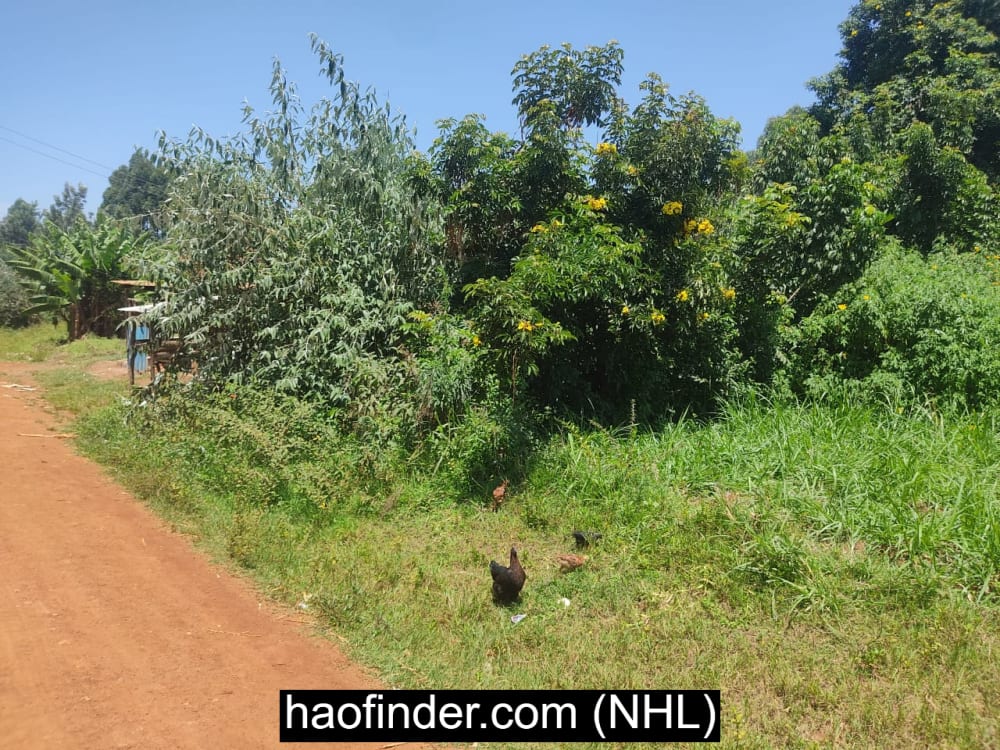 Land for sale in Bungoma - Ndengelwa