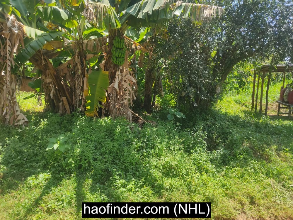 Land for sale in Bungoma - Ndengelwa