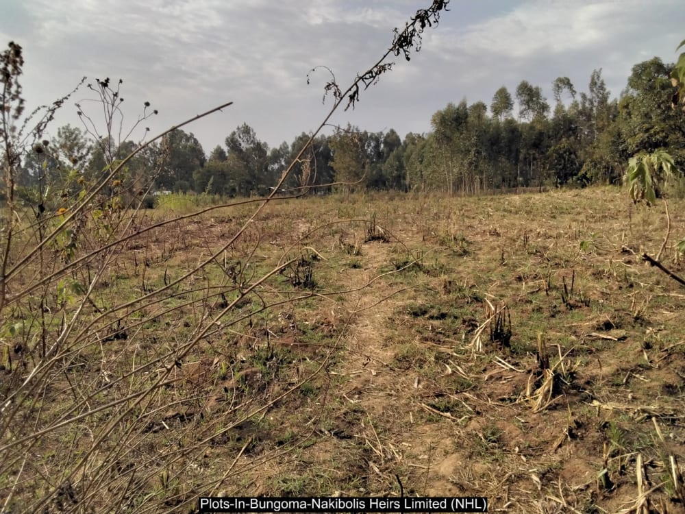 Land for sale in Bungoma