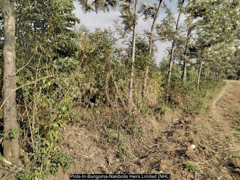 Land for sale in Bungoma