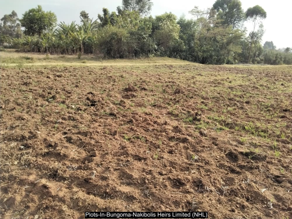 Land for sale in Bungoma