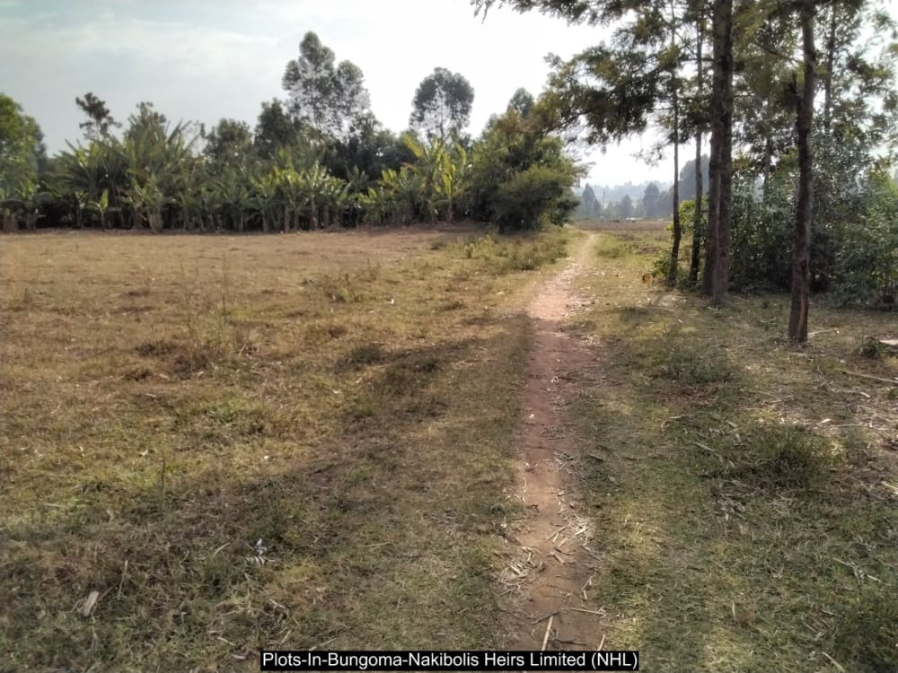 Land for sale in Bungoma