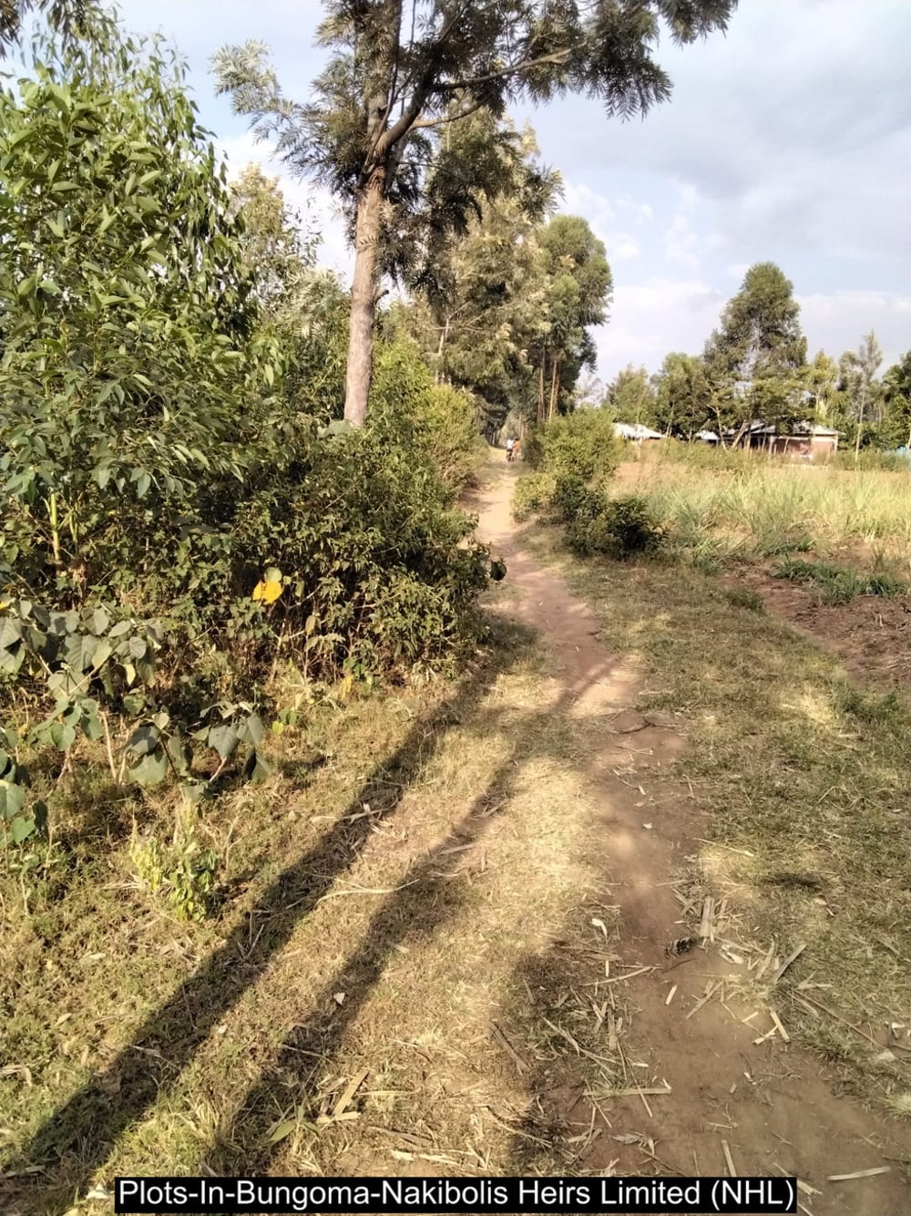 Land for sale in Bungoma