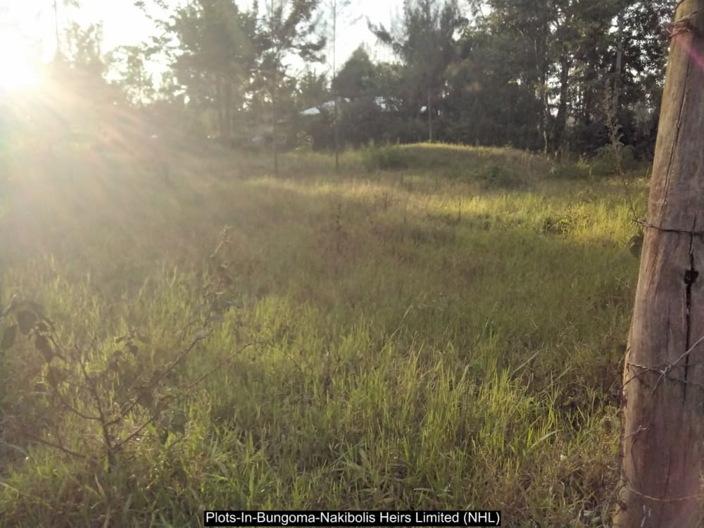 Land for sale in Bungoma